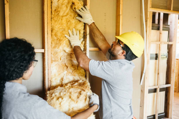 Best Spray Foam Insulation  in Bothell West, WA